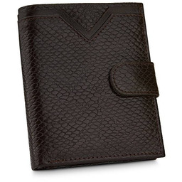 Portfel wężowy BETLEWSKI BPM-PP-67 c. brązowy