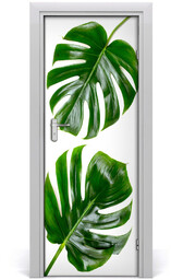 Okleina Naklejka fototapeta na drzwi Monstera