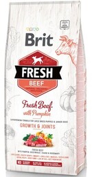 Brit Fresh Beef Pumpkin Puppy Large Growth Joints