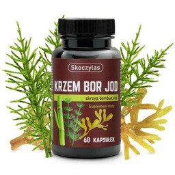 SKOCZYLAS Suplement diety Krzem Bor Jod (60 kapsułek)