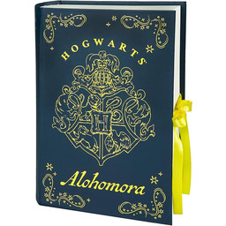 Undercover - Harry Potter 5-częściowy zestaw upominkowy notatnik,