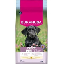Eukanuba PuppyJunior Large Breed 15kg