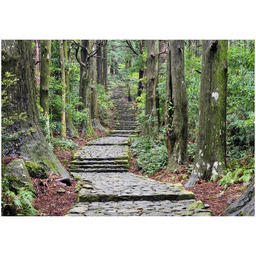 Obraz druk Japońska ścieżka przez las