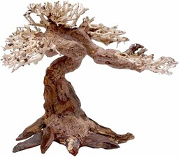 Amtra - Oriental Wind 5 drewno, ręcznie robione,