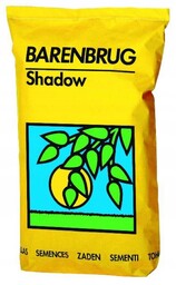 Trawa odporna na cień i słońce Barenbrug Shadow&Sun