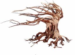 Croci Wood Oriental Wind 6 Small 1 Count