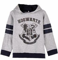 Bluza dresowa z kapturem - Harry Potter