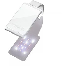 AQUAEL Leddy Smart Day&Night white 4,8W ledowa lampka