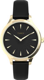 Timex TW2V06600