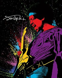 Pyramid International Jimi Hendrix obraz na płótnie malarskim,