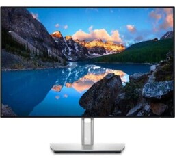 Dell U2421E - 24'' IPS WXGA