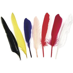 Rayher 8525449 pióra indiańskie, 17,5 cm, worek 12