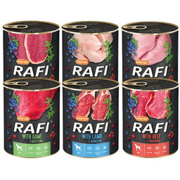 DOLINA NOTECI Rafi Premium Mix smaków 24x800g