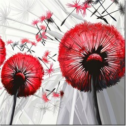 50cm 50cm obraz Dmuchawce czerwieni druk płótno