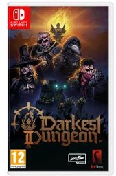 Darkest Dungeon II Gra na Nintendo Switch Gra