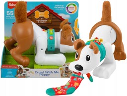 Zabawka Pies Raczkuj za mną Fisher Price Edukacyjny