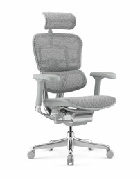 Fotel biurowy Ergohuman 2 Elite GS Grey -