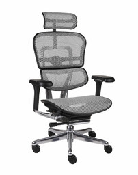 Fotel biurowy Ergohuman 2 Elite BS Grey -