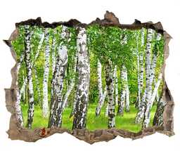 naklejka fototapeta 3D widok Brzozowy las