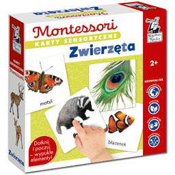 Kapitan Nauka, karty sensoryczne Montessori Zwierzęta