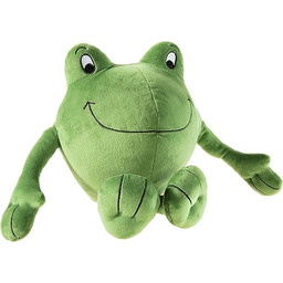 JanGRS/PET Günther żaba skrzynkowa