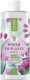 Power of Plants wygładzający płyn micelarny 3w1 Opuncja