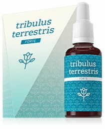 Tribulus terrestris, 30ml