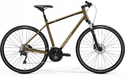 Crossway 100 L(55) Matt Bronze (silverbrown) 2024