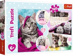 Trefl Puzzle Urocze kotki 160 elementów