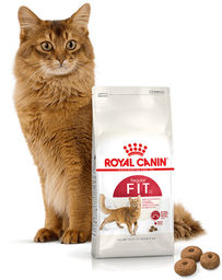 ROYAL CANIN FIT 32 10kg