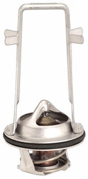 Termostat 13819