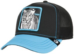 Czapka Blue Streak Glow Cats by Goorin Bros.,