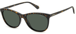 Polaroid PLD 4161/S Havana/Green Polarized