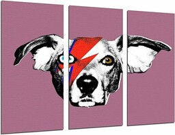 Obraz ścienny - David Bowie, pies zwierząt