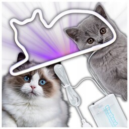 Lampa Neonowy Kot Led Dla Kociary Nocna