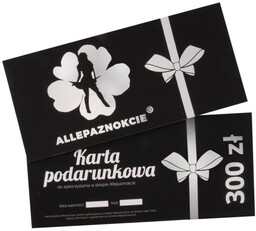 Karta Podarunkowa Voucher Silver 300zł