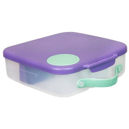 Lunchbox Lilac Pop