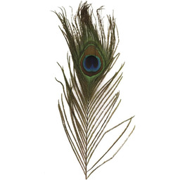 Pawie pióra, 25 cm, 3-częściowe, Rayher