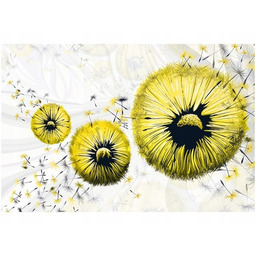 100 70cm Obraz płótno Żółte dmuchawce płótno rama