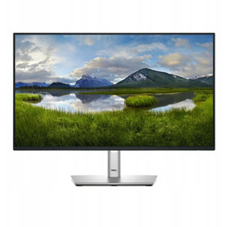 Dell Pro Plus P2425H monitor komputerowy 60,5 cm