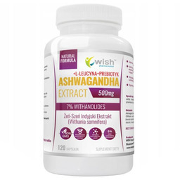 WISH Pharmaceutical, Ashwagandha Extract 500mg + L-Leucyna +
