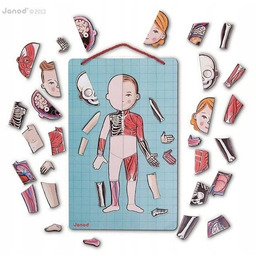 Janod Układanka magnetyczna Ciało człowieka 3+