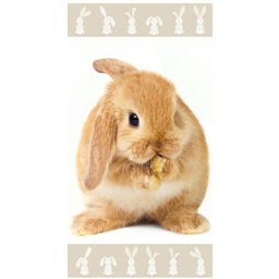 Ręcznik plażowy 70x140 Króliczek królik rudy beżowy Bunny