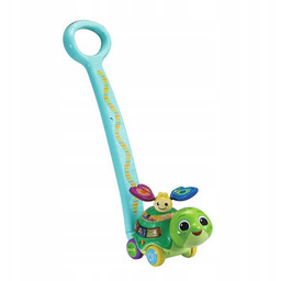 Pchacz Odkrywczy Żółwik