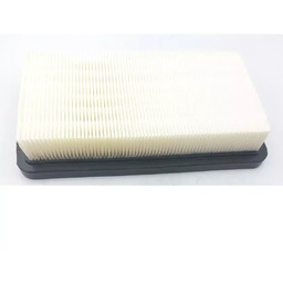 Filtr HEPA do DED7075, DED7174