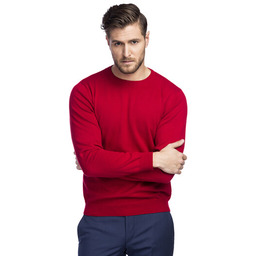 Sweter EDMONDO SWTR000212