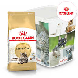 ROYAL CANIN Maine Coon Adult 31 10kg