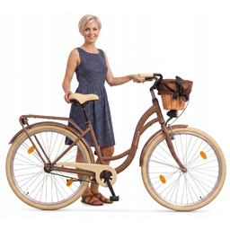 Dallas 28″ – rower damski miejski, polska marka