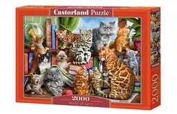 Castorland, puzzle, Koci Dom, 2000 el.
