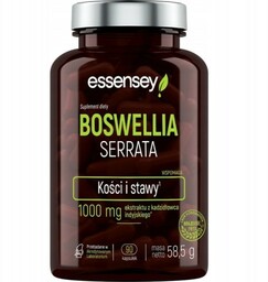 ESSENSEY BOSWELLIA SERRATA 90caps